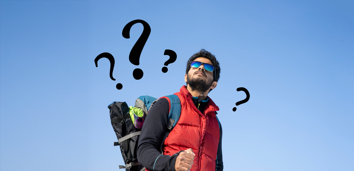 Who is the NSF and why are they important?